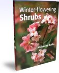 Winter-flowering Shrubs (   -   )